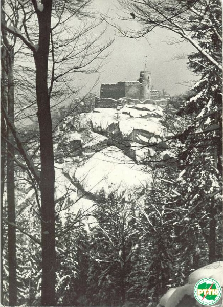 Chojnik