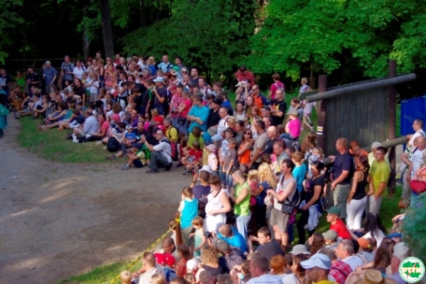_IGP0240_publiczność
