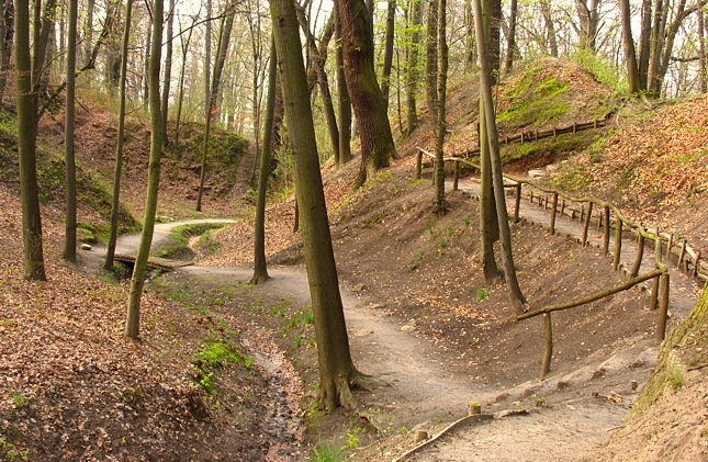 Park Mużakowski 05