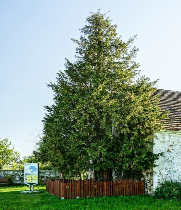 Wycieczka JBO nr 10 04