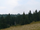 P1240619