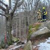 Pożar drzewa na szlaku. Fot. Krzysztof Bisaga 
