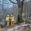 Pożar drzewa na szlaku. Fot. Krzysztof Bisaga 