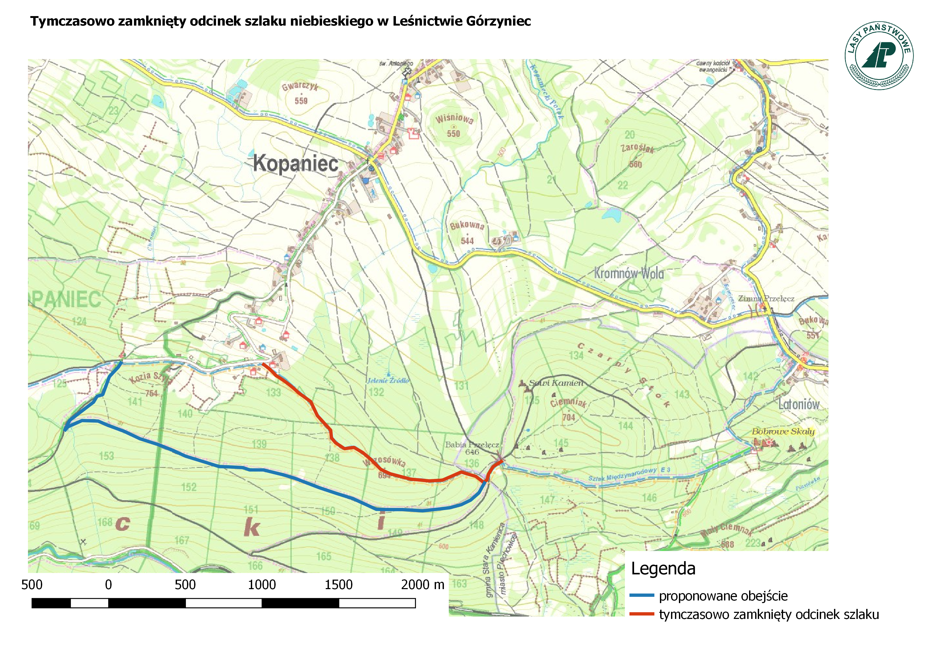 Górzyniec niebieski 2 07